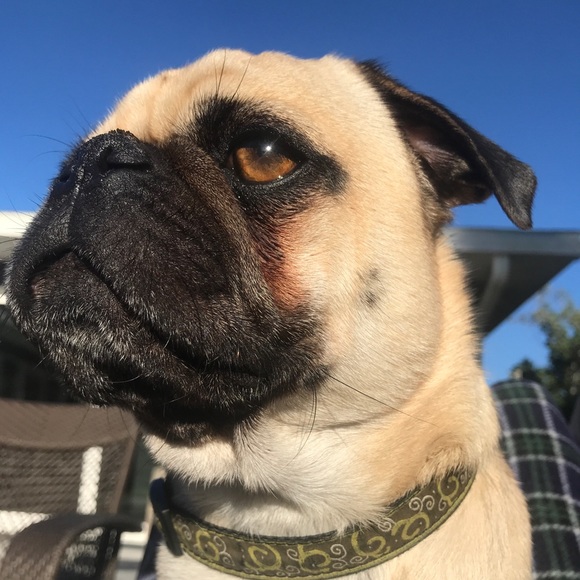 Meet your Posher, Kyle - Picture 1 of 1